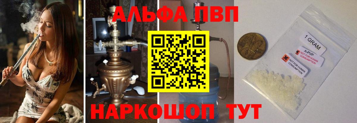 A PVP СК Кузнецк