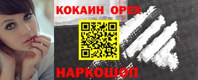 мдпв Камышлов