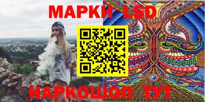 мдпв Камышлов