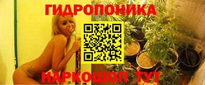 мдпв Камышлов