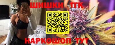 мдпв Камышлов